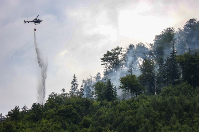 Großeinsatz bei Waldbrand am Brunnkogel in Ebensee am Traunsee