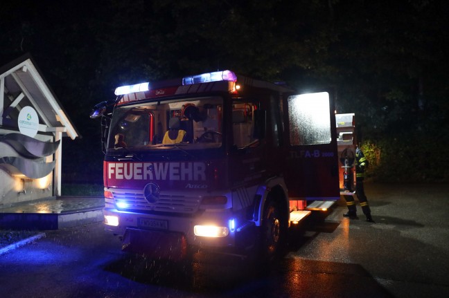 Umgestürzte Esche blockierte Straße in Bad Wimsbach-Neydharting