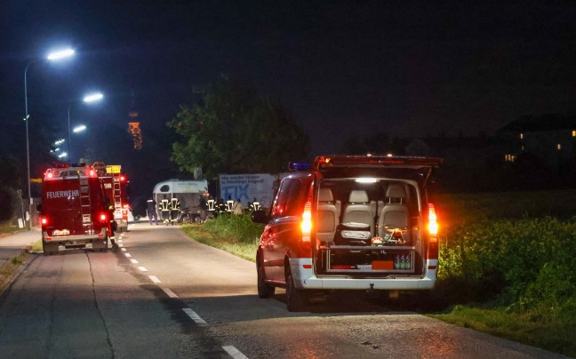 15 Jungrinder entlaufen: Feuerwehr und Polizei bei Tierrettung in Braunau am Inn im Einsatz