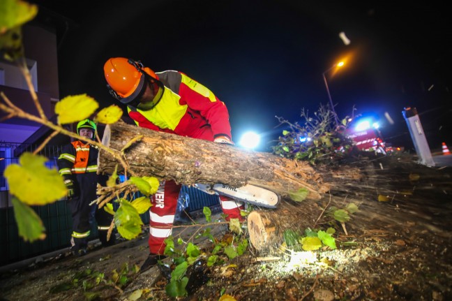Alkolenkerin bei Unfall in Marchtrenk gegen Baum gekracht