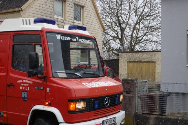 Katze in Wels-Lichtenegg durch Feuerwehr vom Baum gerettet