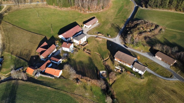 Pensionist (74) bei Forstunfall in St. Leonhard bei Freistadt tdlich verletzt