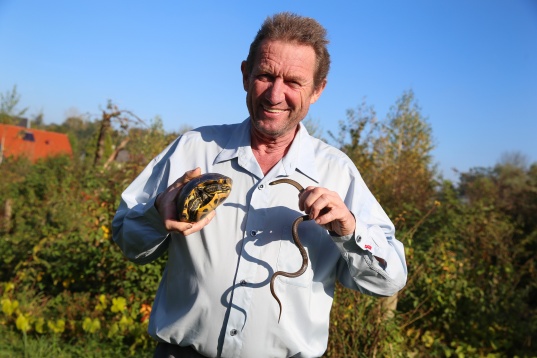 Freude riesengroß: Besitzer hatte exotische Schmuckschildkröte bereits vermisst