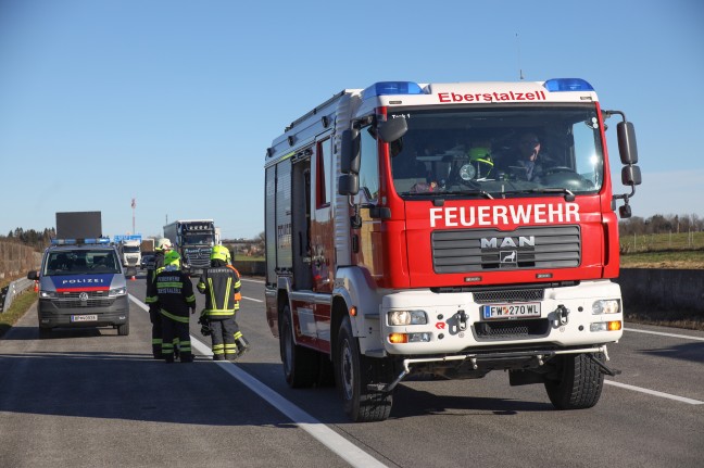 Brand in einem Reisebus auf Westautobahn bei Eberstalzell