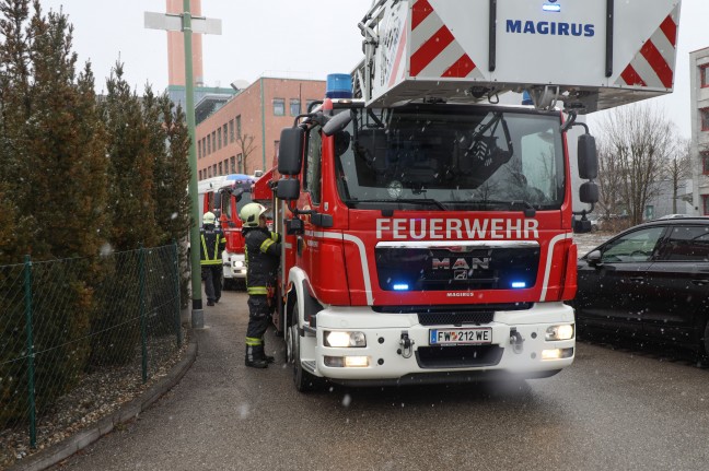 Feuerwehr bei Brand in einer Halle in Wels-Lichtenegg im Einsatz