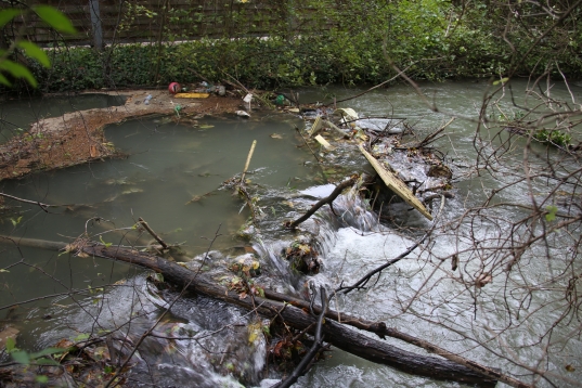 Verklausung im Schenkelbach verursachte Überschwemmung in Wels-Pernau