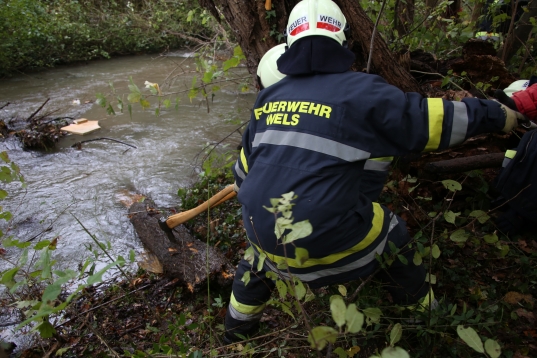 Verklausung im Schenkelbach verursachte Überschwemmung in Wels-Pernau