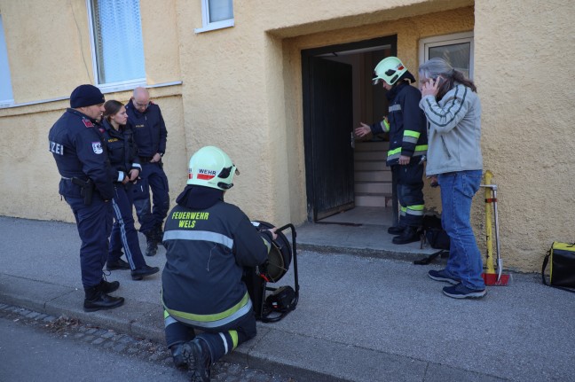 Feuerwehr und Rauchfangkehrer bei ausgedehntem Kaminbrand in Wels-Neustadt im Einsatz