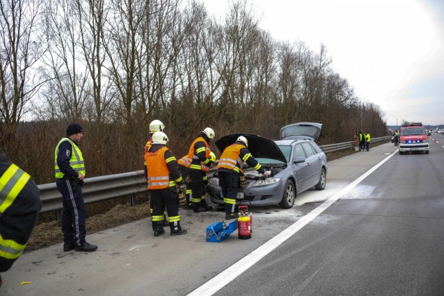 Zwei Feuerwehren bei PKW-Brand auf der Westautobahn bei Allhaming im Einsatz