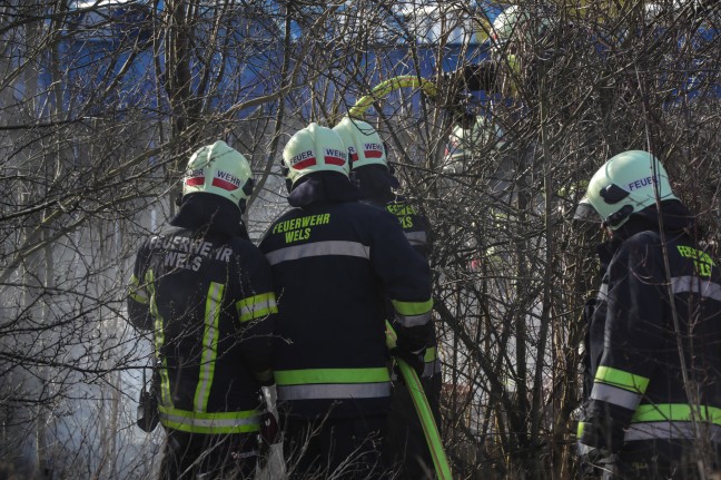 Brand eines Komposthaufens in einem Kleingarten in Wels-Neustadt