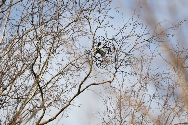 Feuerwehr bei Bergung einer Drohne aus einem Baum in Wels-Lichtenegg im Einsatz