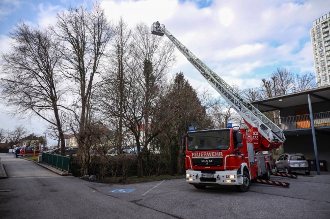 Feuerwehr bei Bergung einer Drohne aus einem Baum in Wels-Lichtenegg im Einsatz