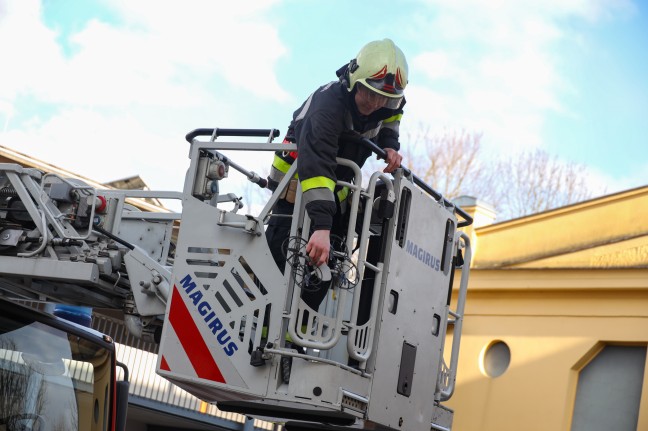 Feuerwehr bei Bergung einer Drohne aus einem Baum in Wels-Lichtenegg im Einsatz