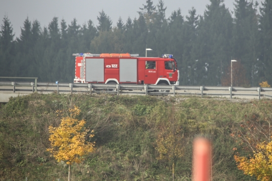 Polizei begleitete Pferd zum Autobahnparkplatz Allhaming