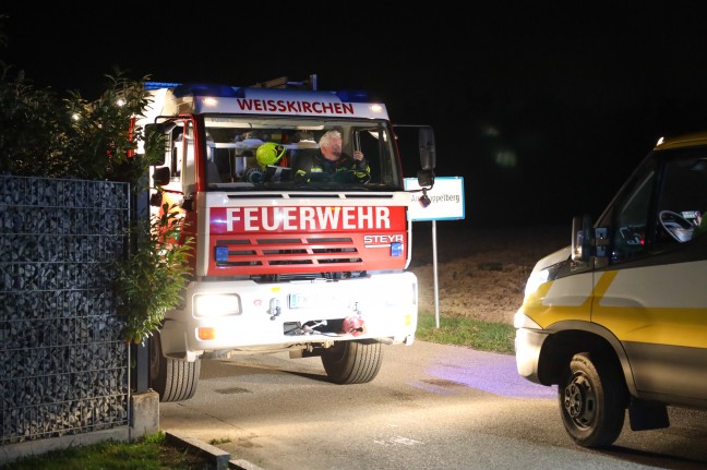 Feldhase löste Unfall in Weißkirchen an der Traun aus