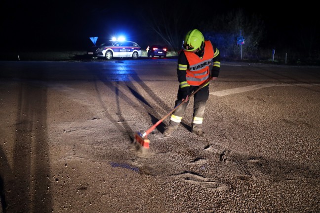 Feldhase löste Unfall in Weißkirchen an der Traun aus