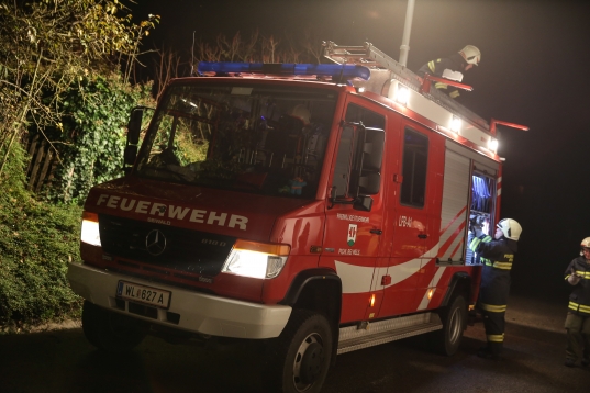 Feuerwehr rettete Katze vom Dach eines Hauses in Pichl bei Wels