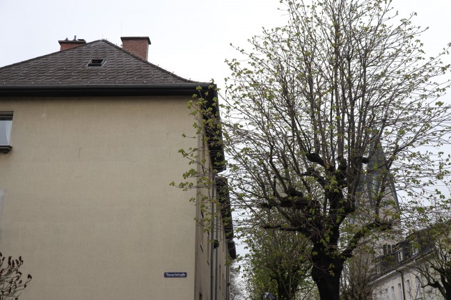 Dachbodenfenster in Wels-Neustadt mit Drehleiter der Feuerwehr aus Baumkrone geborgen