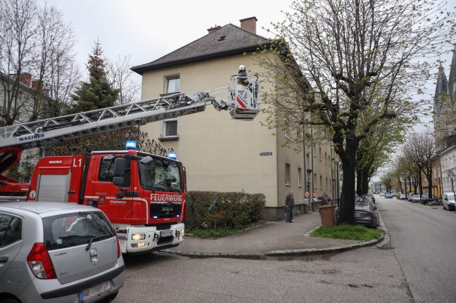 Dachbodenfenster in Wels-Neustadt mit Drehleiter der Feuerwehr aus Baumkrone geborgen