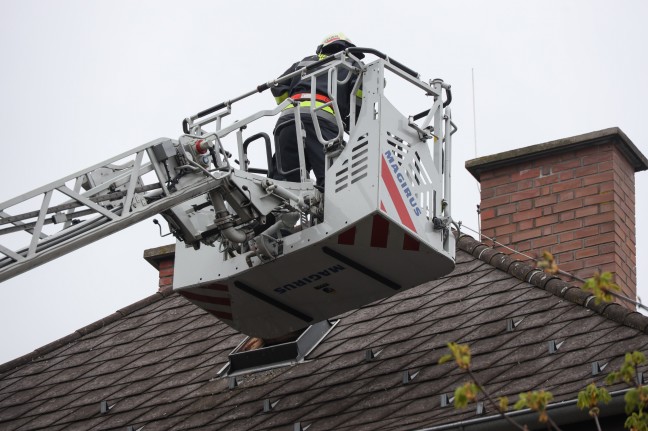 Dachbodenfenster in Wels-Neustadt mit Drehleiter der Feuerwehr aus Baumkrone geborgen