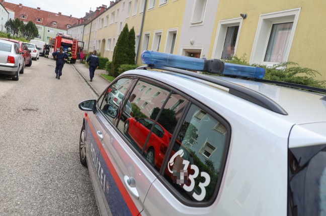 Brand einer Altpapiertonne samt versp�tetem Christbaumbrand in Wels-Vogelweide