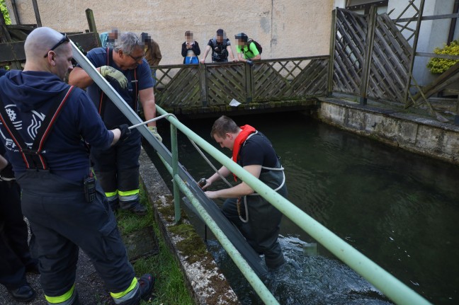 Kennzeichentafel in Wels-Innenstadt durch Feuerwehr aus M�hlbach geborgen