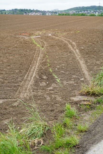 Auto nach Kreuzungskollision in Leonding in angrenzendes Feld berschlagen