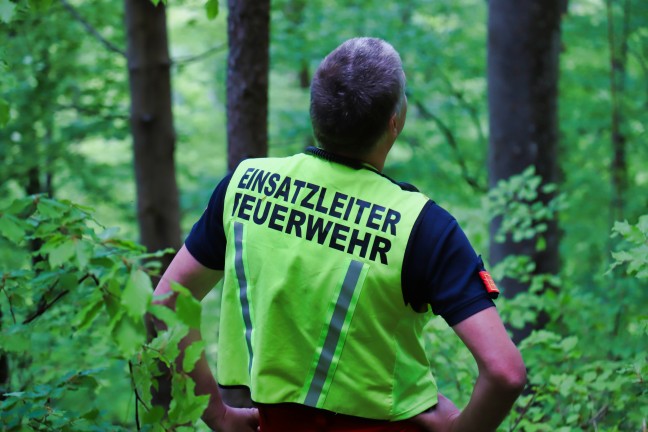 Paragleiter in Baum: Einsatzkräfte bei Personenrettung in Ternberg im Einsatz