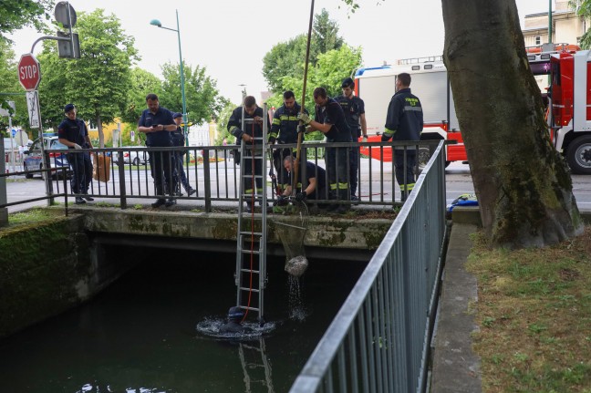 Feuerwehrtaucher bei Sicherstellung eines Gegenstandes im Mhlbach in Wels-Innenstadt im Einsatz