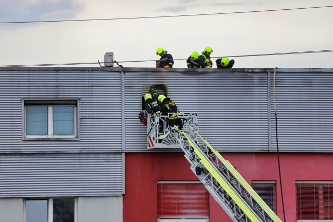 Vier Feuerwehren bei Brand am Dach einer Autowerkstatt in Ansfelden im Einsatz