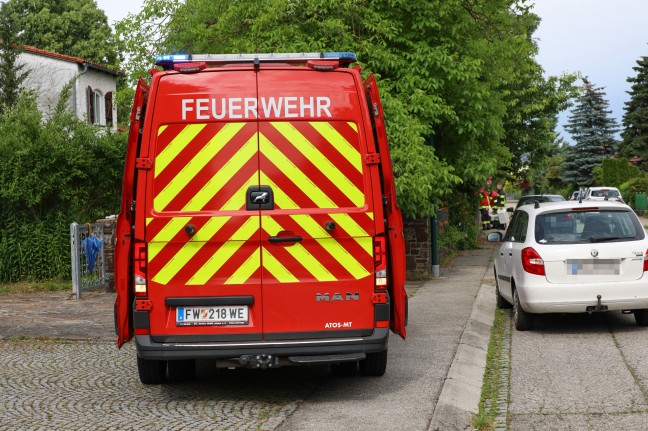 Entenfamilie in Wels-Pernau durch Einsatzkräfte der Feuerwehr und Anwohner wieder vereint