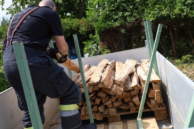 Äskulapnatter versteckte sich in einer Holzlieferung - Tierrettung durch Feuerwehr in Wels-Neustadt