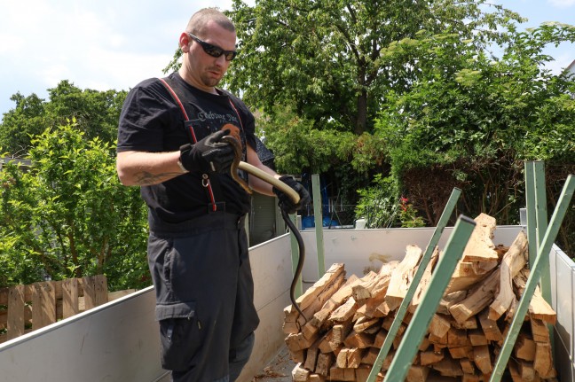 skulapnatter versteckte sich in einer Holzlieferung - Tierrettung durch Feuerwehr in Wels-Neustadt