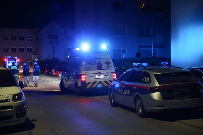 Personenrettung in Kremsmnster: Mann steckte mit Kopf in einem Gelnder fest