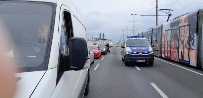 Klimakleber blockierten die Nibelungenbr�cke in Linz-Urfahr