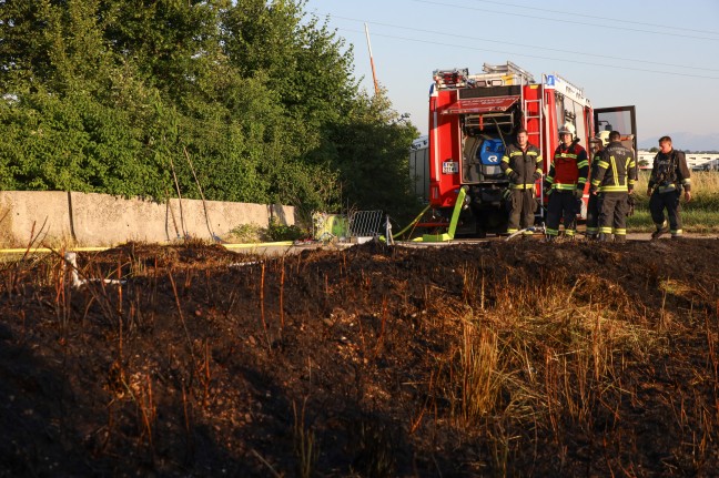 Flurbrand in Wels-Vogelweide sorgte fr Einsatz der Feuerwehr