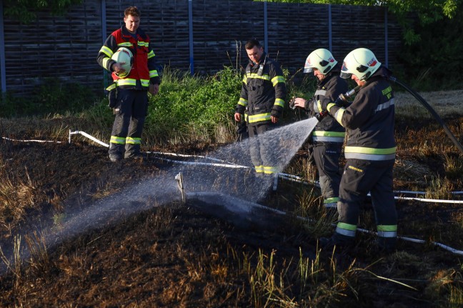 Flurbrand in Wels-Vogelweide sorgte fr Einsatz der Feuerwehr