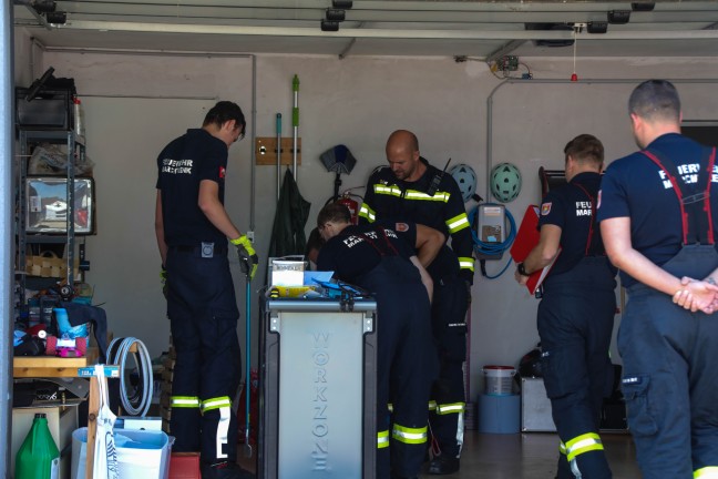 Schlange in einer Garage sorgte fr Einsatz der Feuerwehr in Marchtrenk