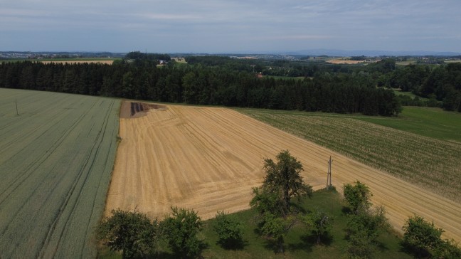 Eck eine Feldes brannte: Fnf Feuerwehren zu Brand nach Rohr im Kremstal alarmiert