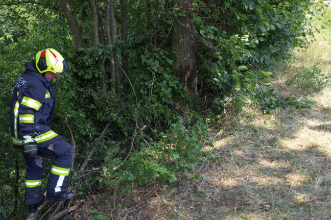 Menschenrettung nach Verkehrsunfall: Auto bei Rstorf frontal gegen Bume geprallt