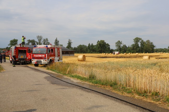 Zwei Feuerwehren bei Feldbrand in Weikirchen an der Traun im Einsatz