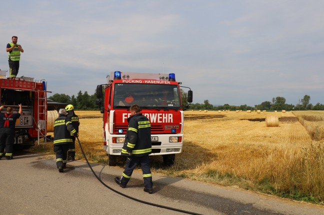 Zwei Feuerwehren bei Feldbrand in Weißkirchen an der Traun im Einsatz