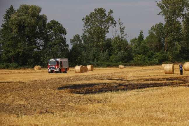 Zwei Feuerwehren bei Feldbrand in Weißkirchen an der Traun im Einsatz