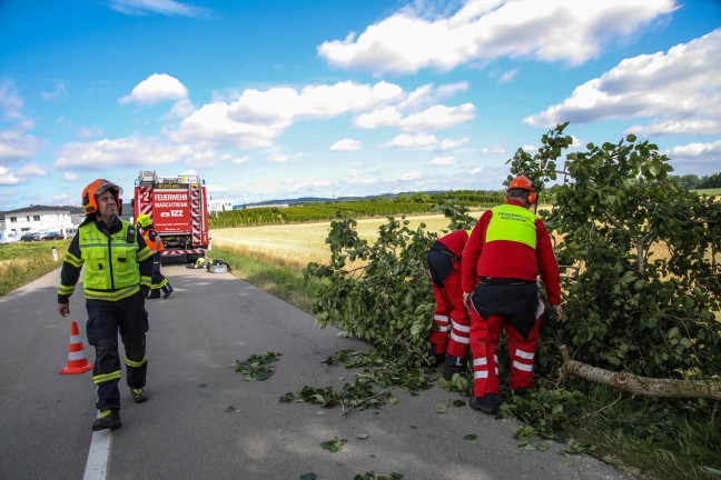 Herunterhängender großer Ast blockierte Straße bei Marchtrenk