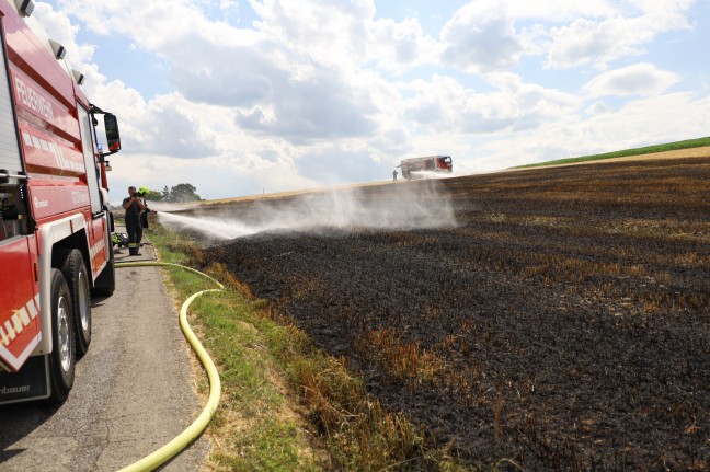 Vier Feuerwehren bei Brand eines Stoppelfeldes in Weißkirchen an der Traun im Einsatz
