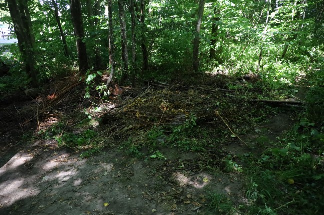 Brandeinsatz in einem Waldstck in Wels-Lichtenegg