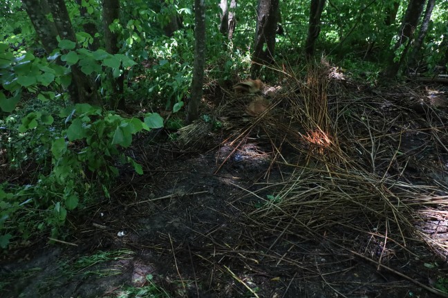 Brandeinsatz in einem Waldstck in Wels-Lichtenegg