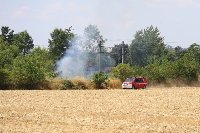 Westbahnstrecke bei Gunskirchen wegen Vegetationsbrand kurzzeitig unterbrochen