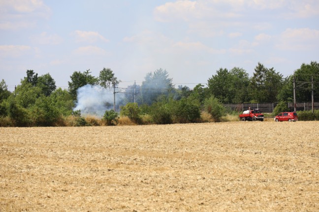 Westbahnstrecke bei Gunskirchen wegen Vegetationsbrand kurzzeitig unterbrochen