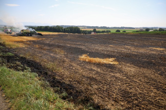 Drei Feuerwehren bei Brand einer Strohpresse und eines Feldes in Steinerkirchen an der Traun im Einsatz